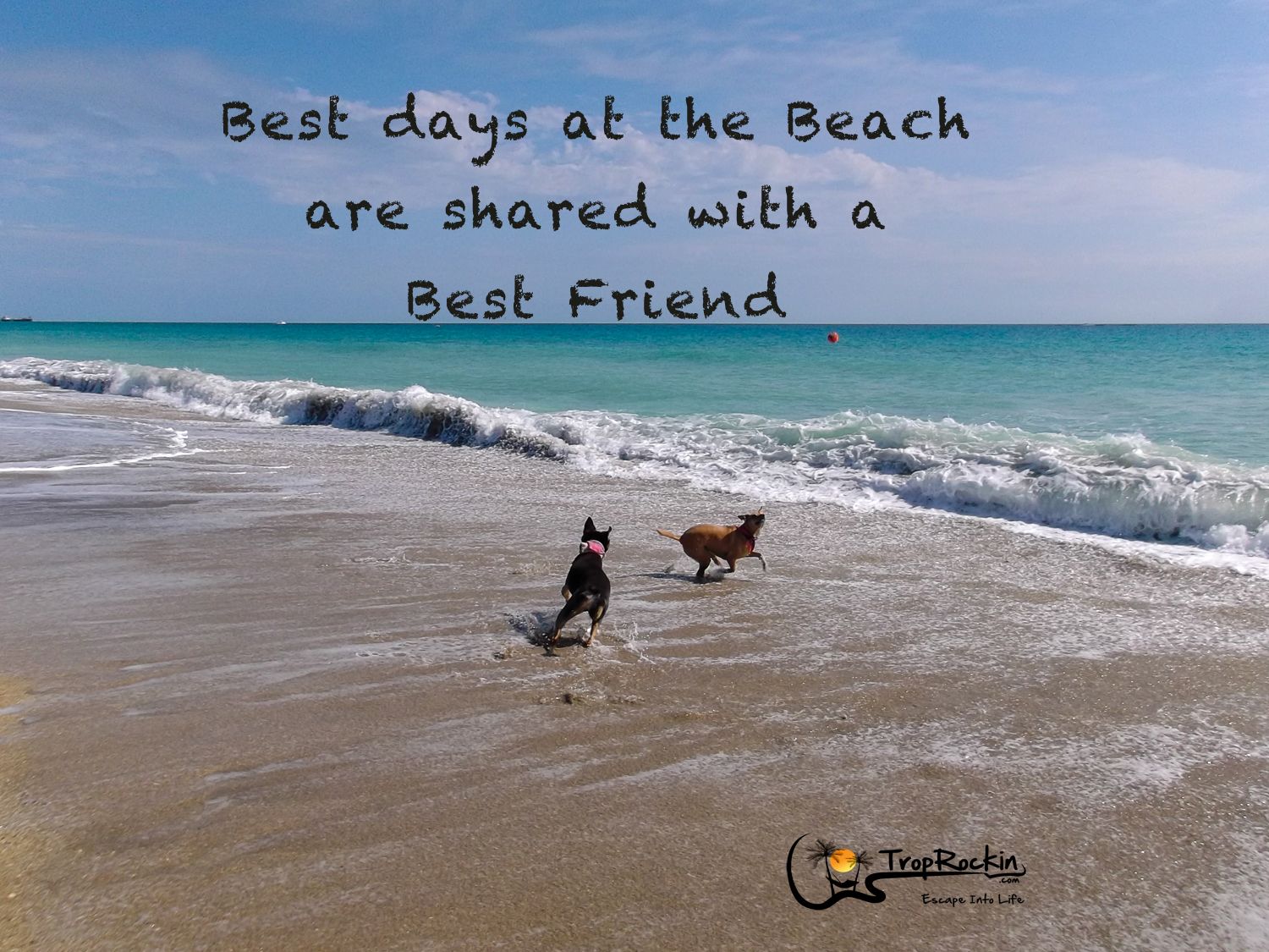 Beach With Friends Quotes - KibrisPDR