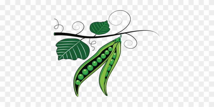 Detail Bean Plant Png Nomer 21