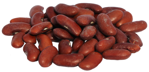 Detail Bean Transparent Nomer 13