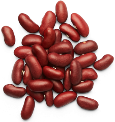 Detail Bean Transparent Nomer 42