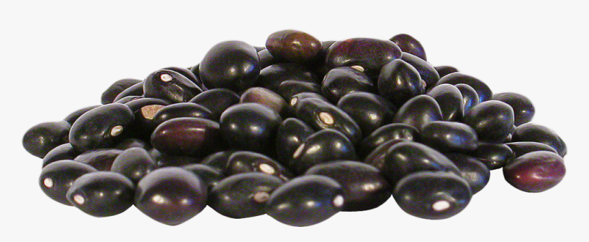 Detail Bean Transparent Background Nomer 13