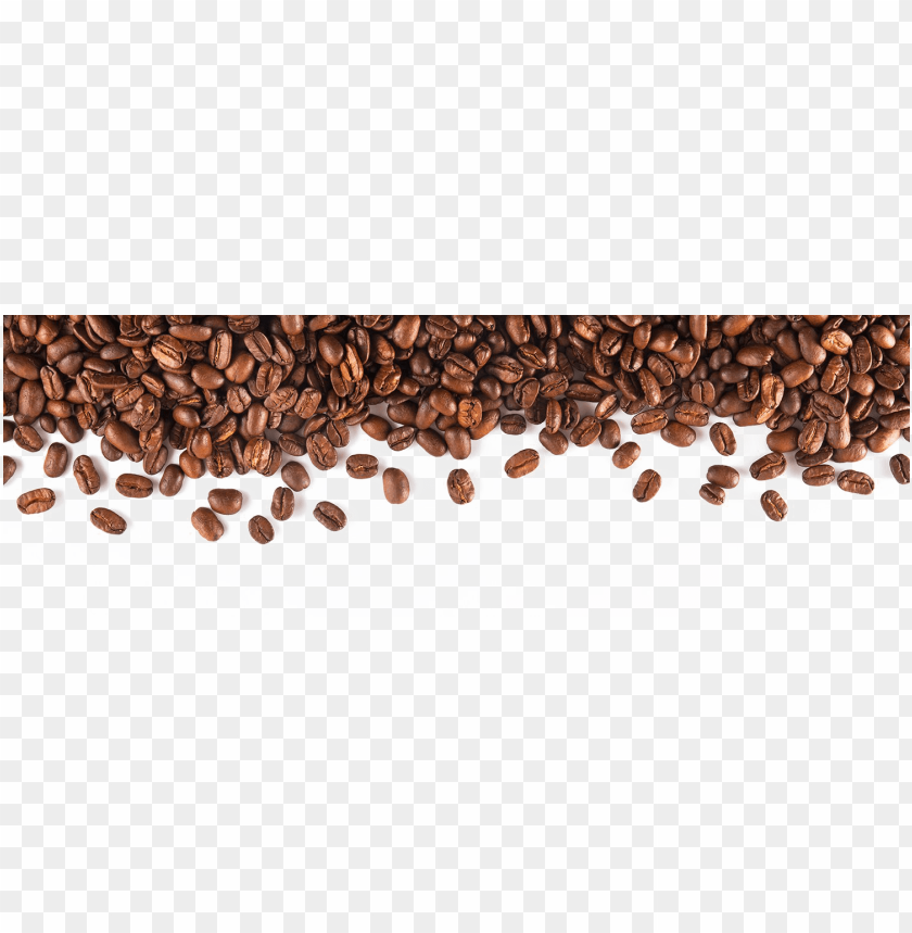 Detail Bean Transparent Background Nomer 14