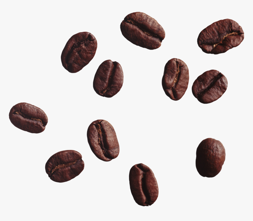 Detail Bean Transparent Background Nomer 15