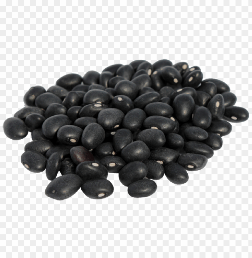 Detail Bean Transparent Background Nomer 17