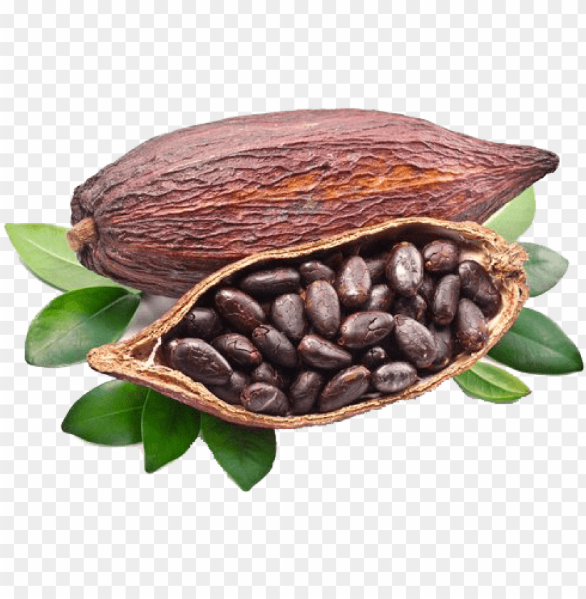 Detail Bean Transparent Background Nomer 21