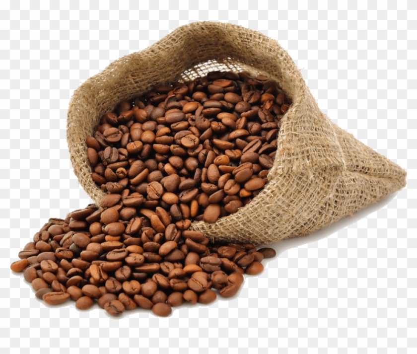 Detail Bean Transparent Background Nomer 31