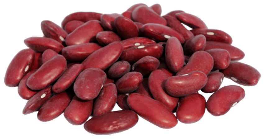 Detail Bean Transparent Background Nomer 4