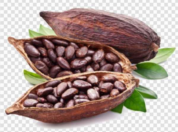 Detail Bean Transparent Background Nomer 43