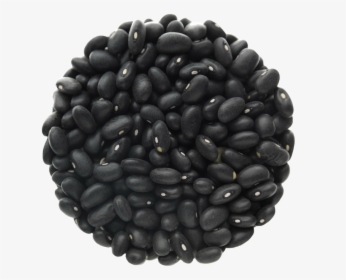 Detail Bean Transparent Background Nomer 5