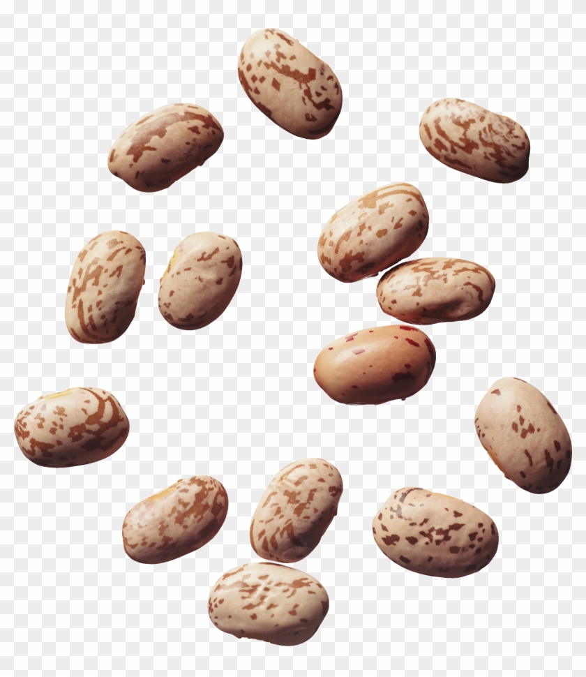 Detail Bean Transparent Background Nomer 50