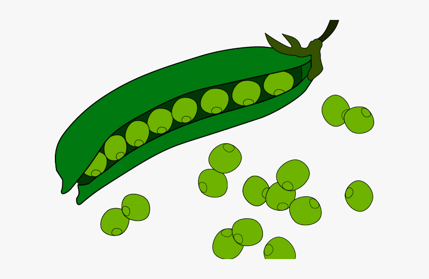 Detail Beans Clipart Nomer 2