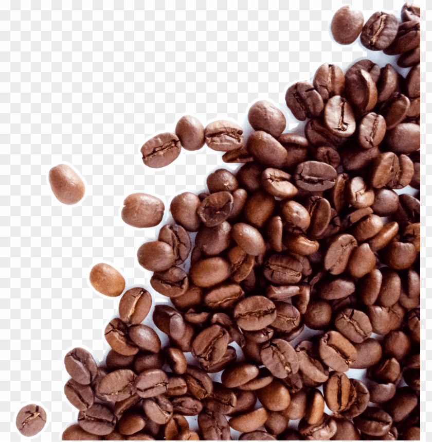 Detail Beans Coffee Png Nomer 13