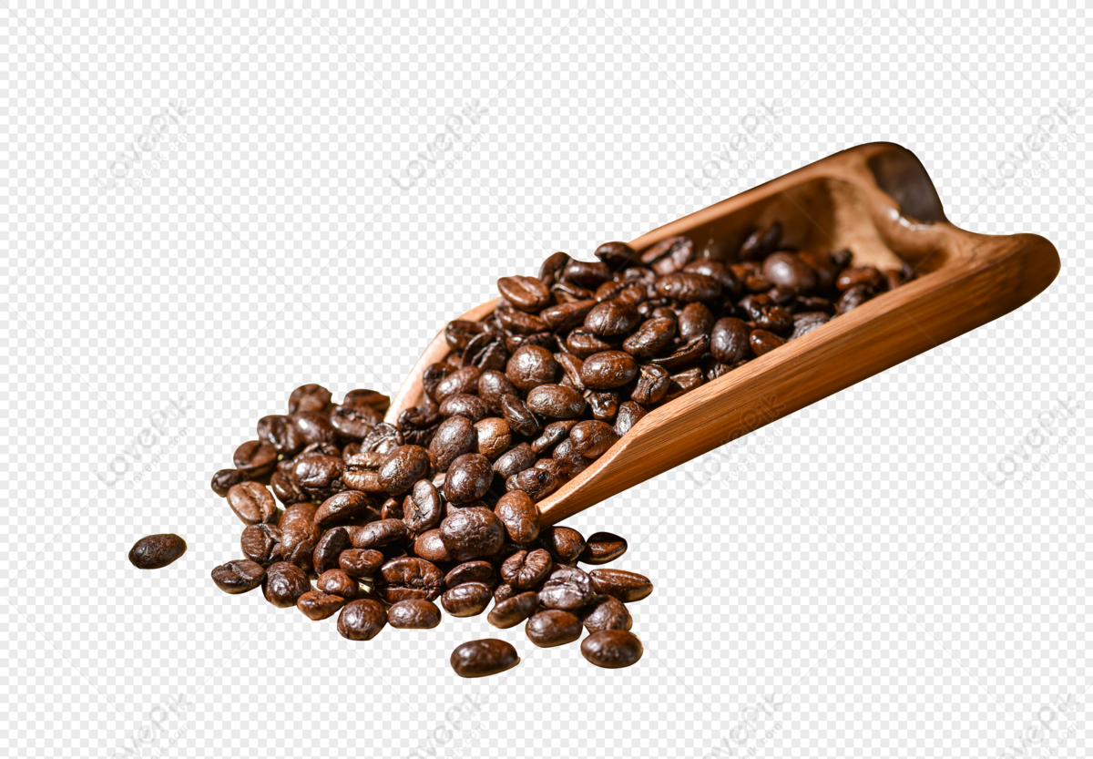 Detail Beans Coffee Png Nomer 23