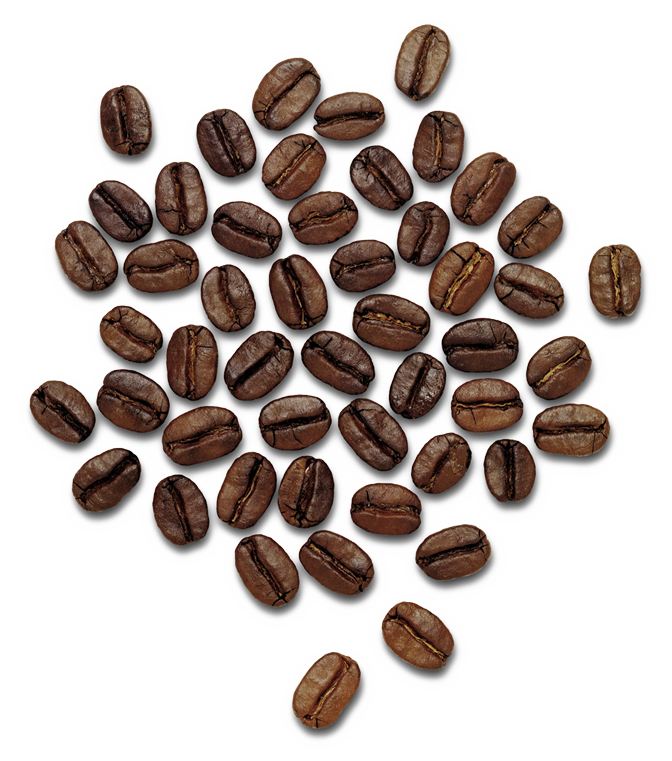 Detail Beans Coffee Png Nomer 34