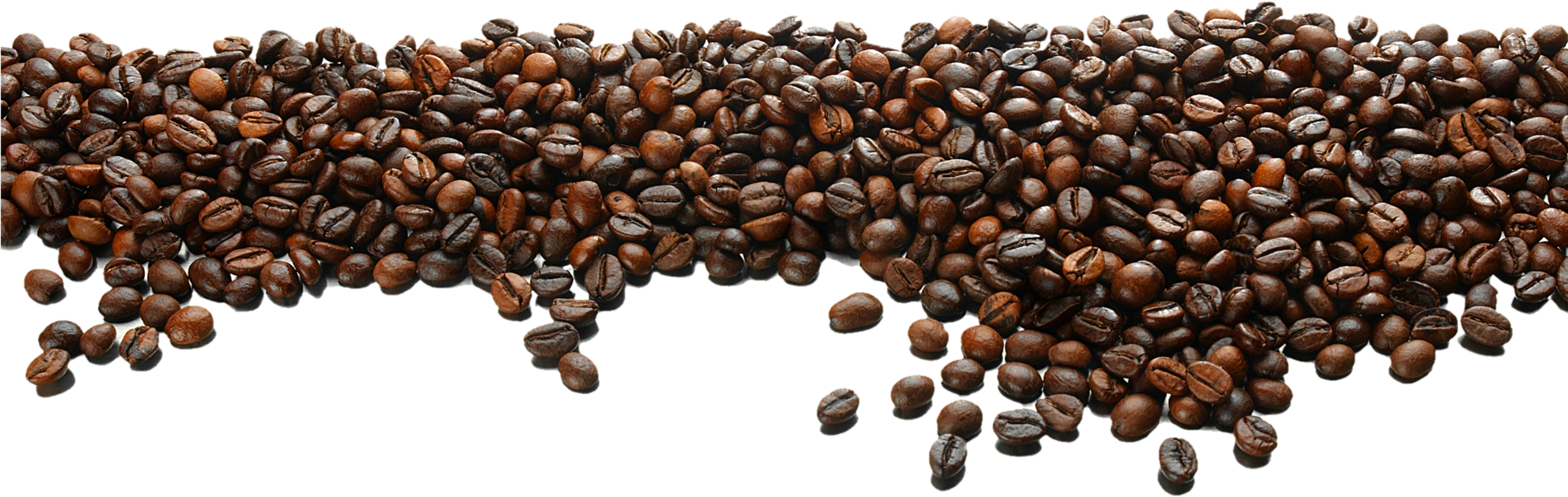 Detail Beans Coffee Png Nomer 7