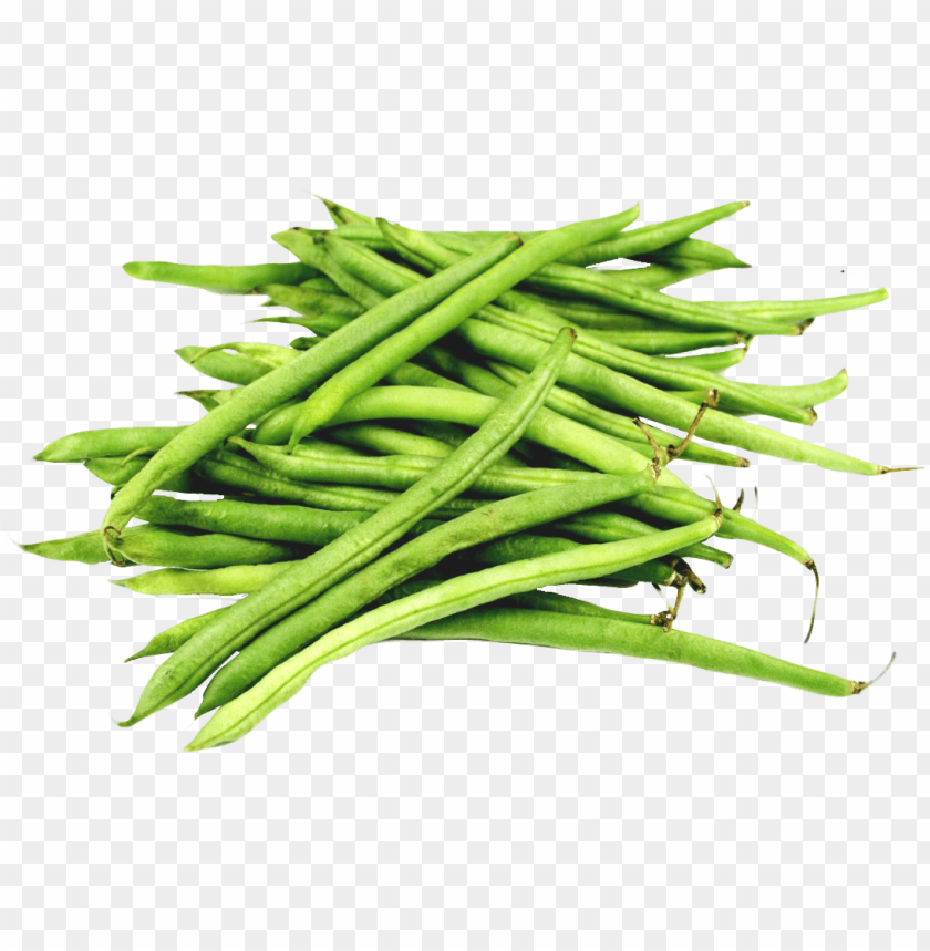 Detail Beans Transparent Nomer 9