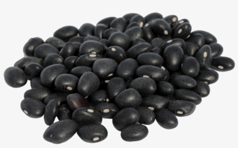 Detail Beans Transparent Nomer 17
