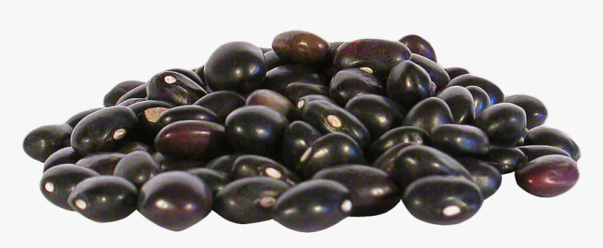 Detail Beans Transparent Nomer 21