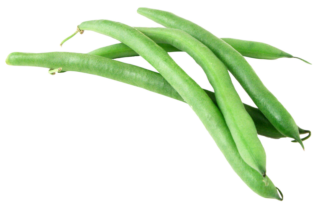 Detail Beans Transparent Nomer 27