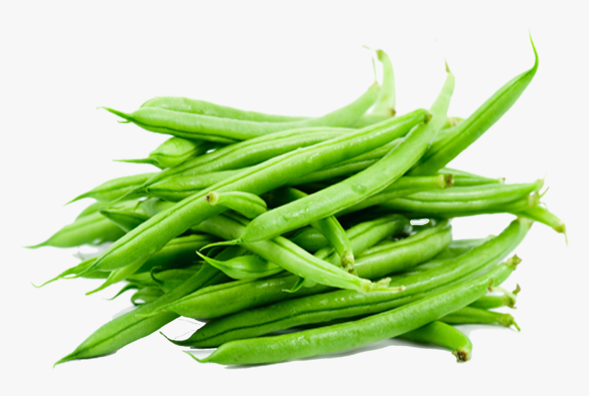 Detail Beans Transparent Nomer 28