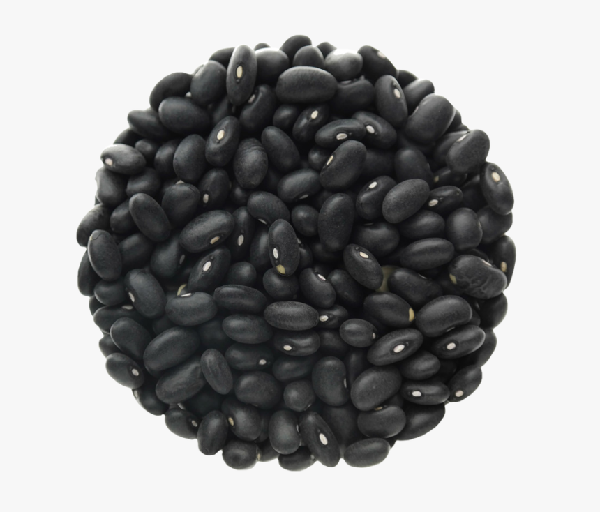 Detail Beans Transparent Nomer 31