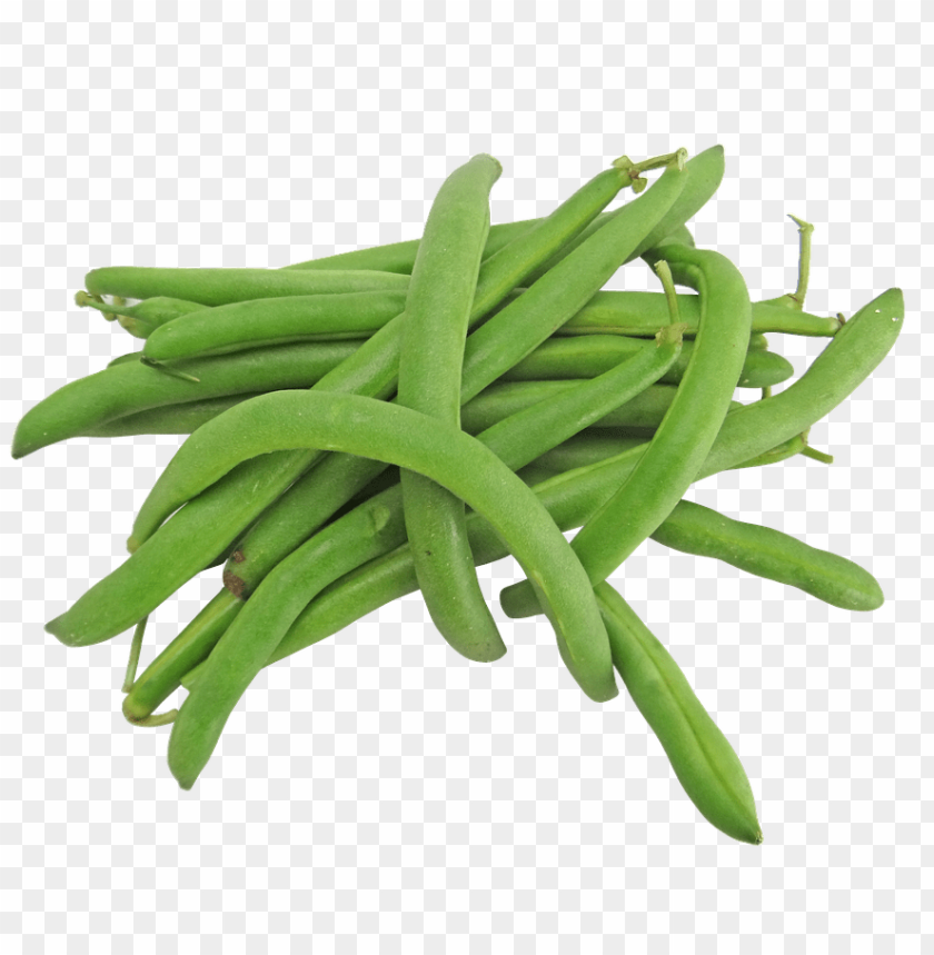 Detail Beans Transparent Nomer 34