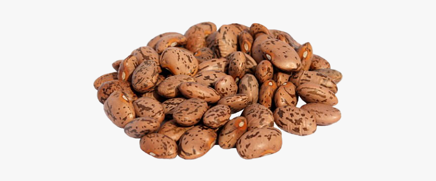 Detail Beans Transparent Nomer 39