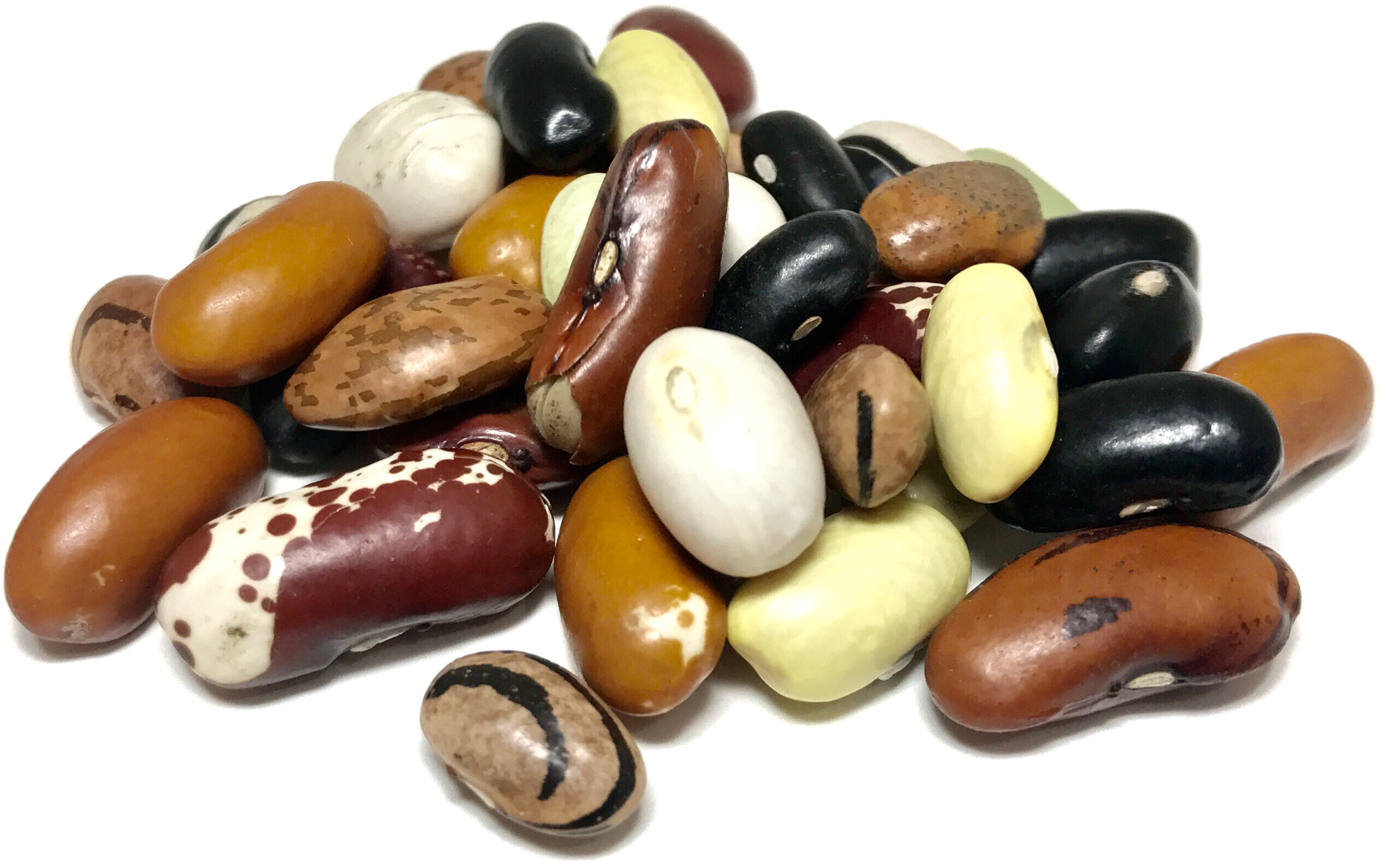 Detail Beans Transparent Nomer 50