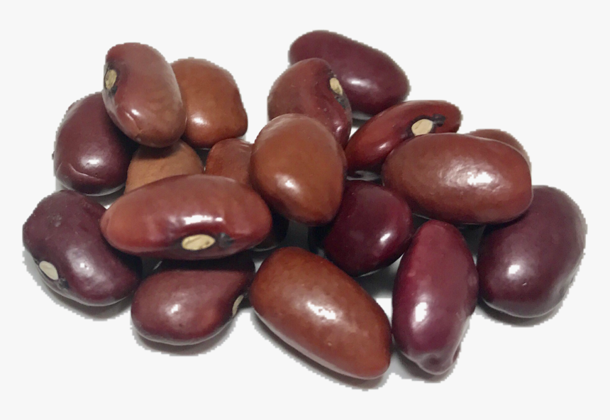 Detail Beans Transparent Background Nomer 2
