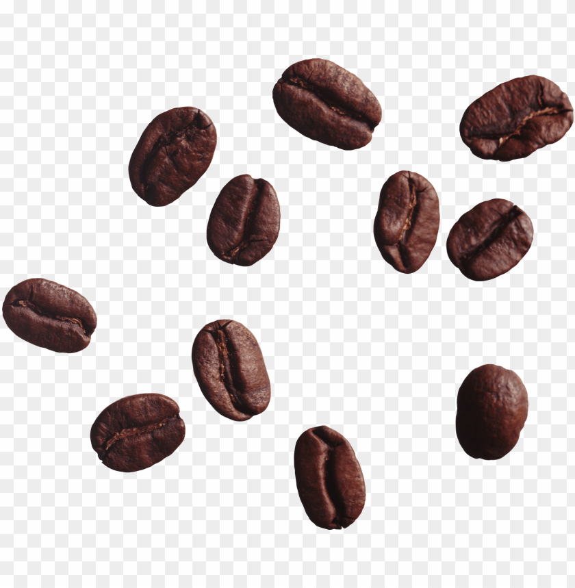 Detail Beans Transparent Background Nomer 17