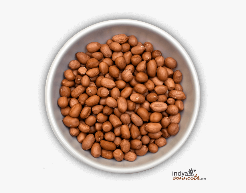 Detail Beans Transparent Background Nomer 20