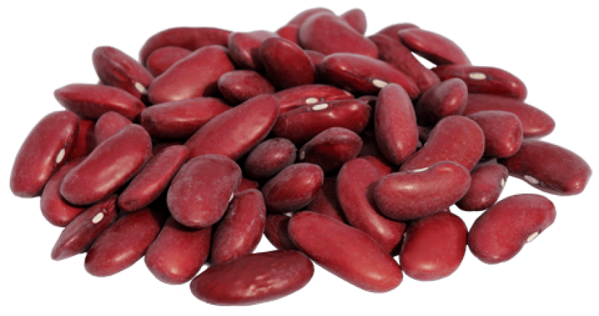Detail Beans Transparent Background Nomer 4