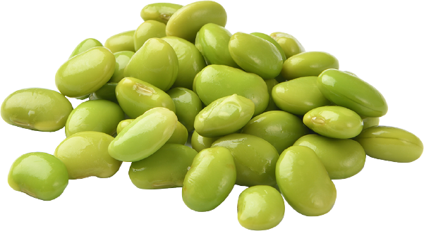 Detail Beans Transparent Background Nomer 52