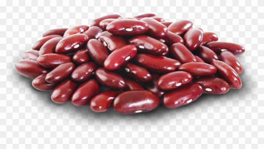 Detail Beans Transparent Background Nomer 9