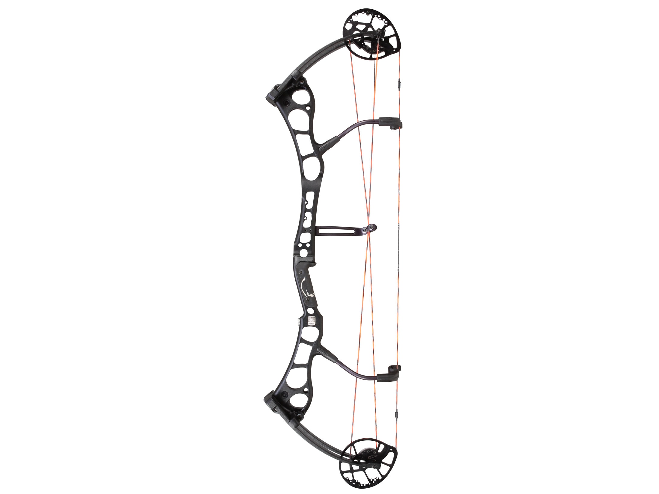 Detail Bear Anarchy Compound Bow Nomer 15