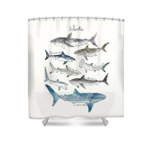 Detail Bear And Shark Shower Curtain Nomer 44