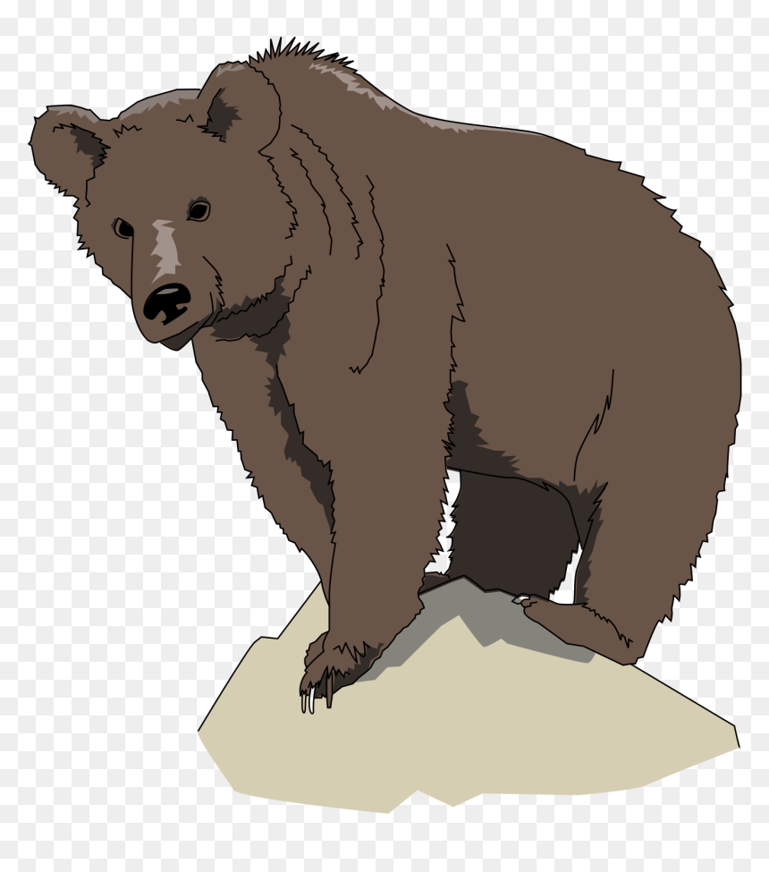 Detail Bear Clipart Transparent Nomer 12