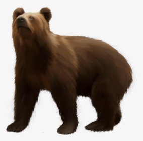 Detail Bear Clipart Transparent Nomer 17