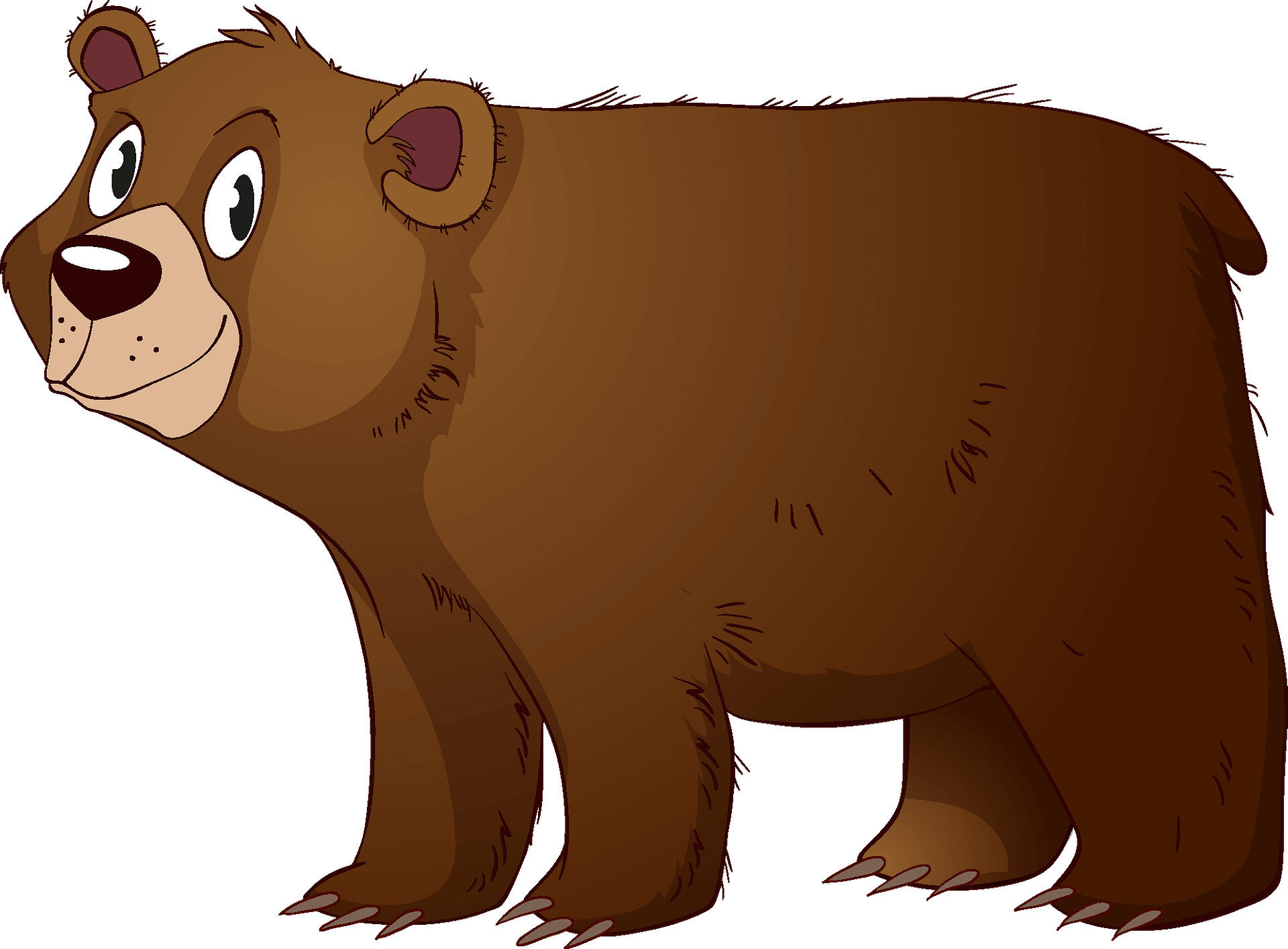 Detail Bear Clipart Transparent Nomer 37
