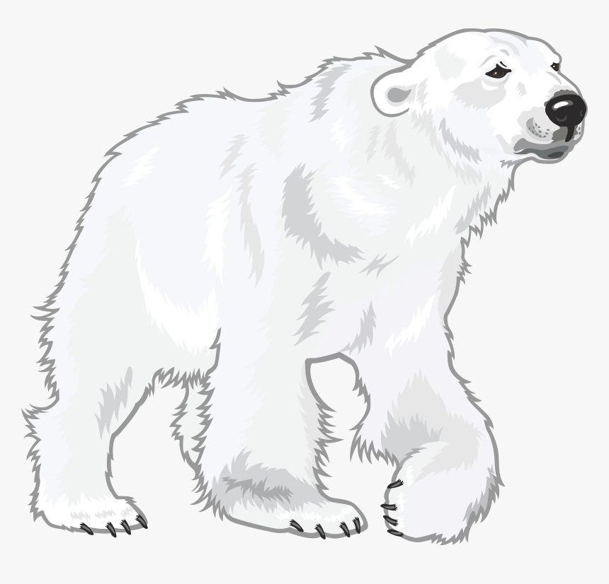 Detail Bear Clipart Transparent Nomer 41