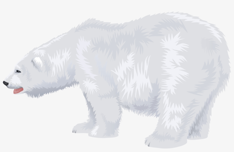 Detail Bear Clipart Transparent Nomer 51