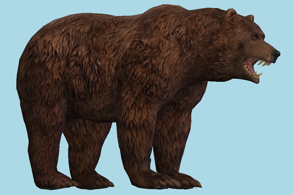 Detail Bear Download Nomer 27