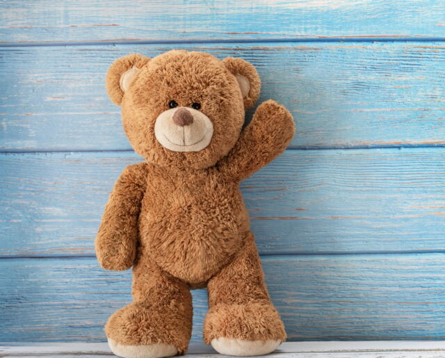 Detail Bear Image Nomer 14