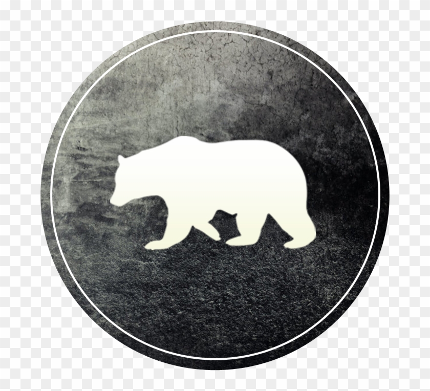 Detail Bear Logo Png Nomer 14
