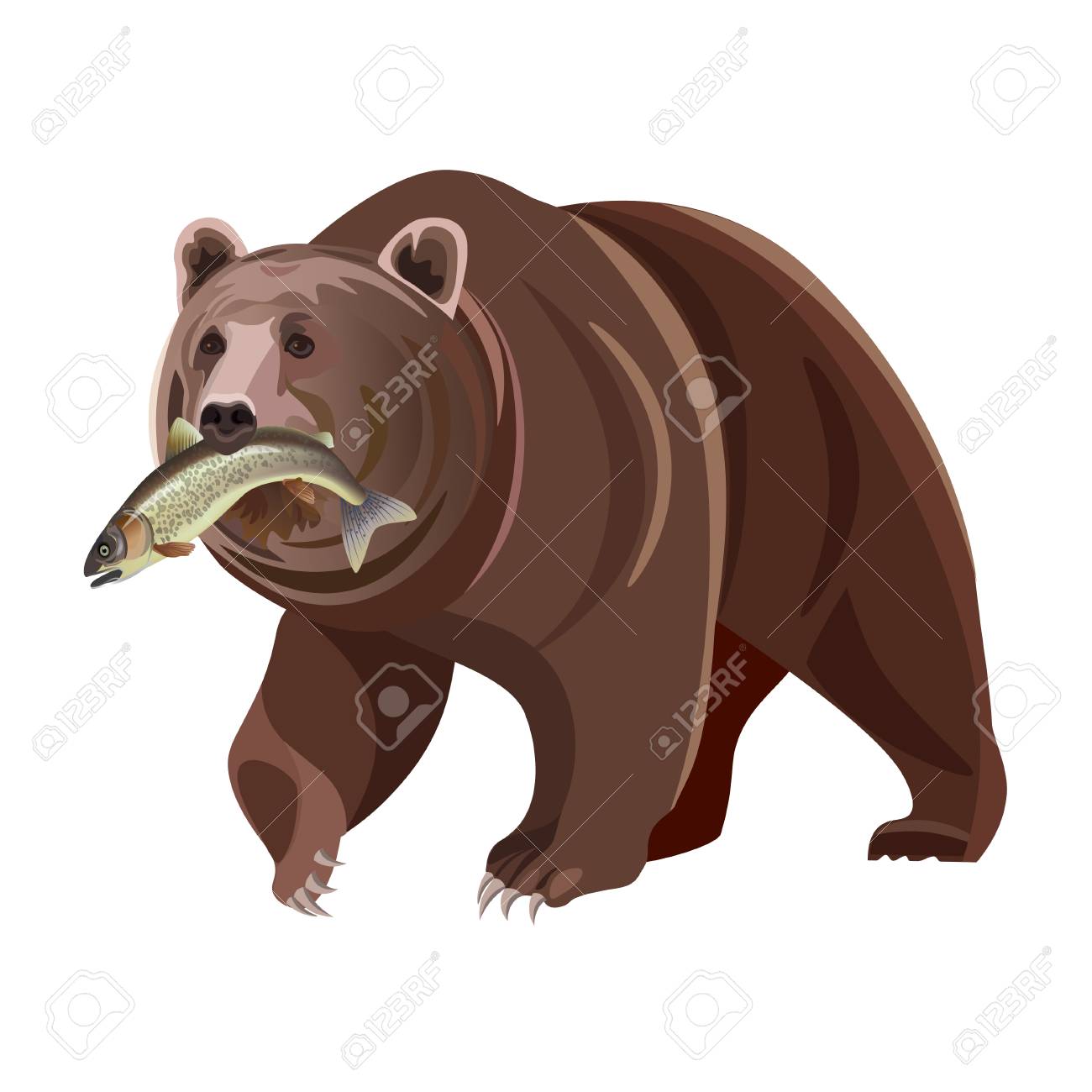 Detail Bear Mouth Clipart Nomer 28