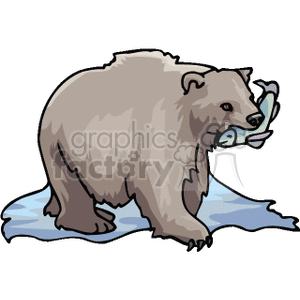 Detail Bear Mouth Clipart Nomer 34