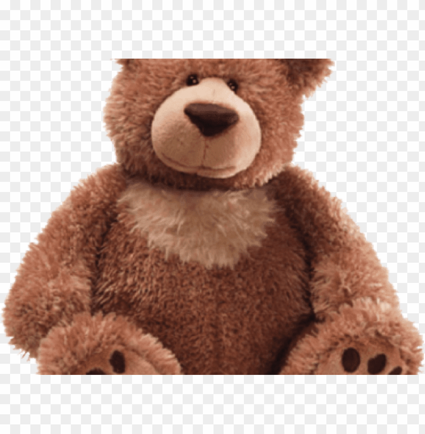 Detail Bear No Background Nomer 38