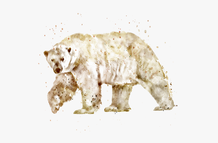 Detail Bear No Background Nomer 41