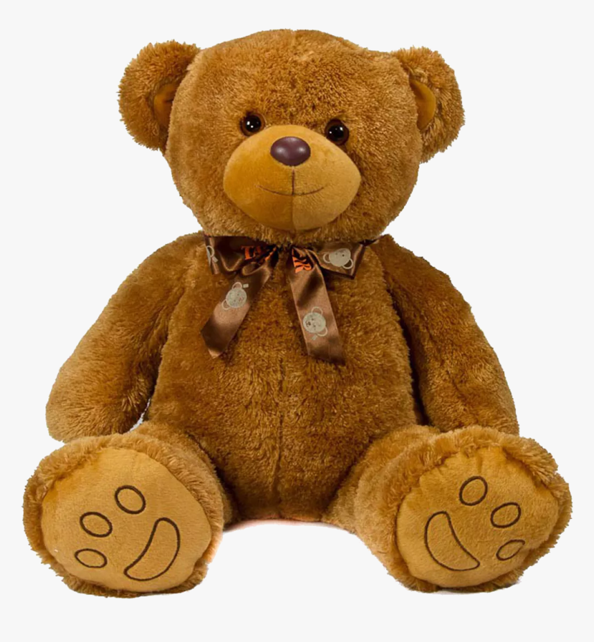 Detail Bear No Background Nomer 46