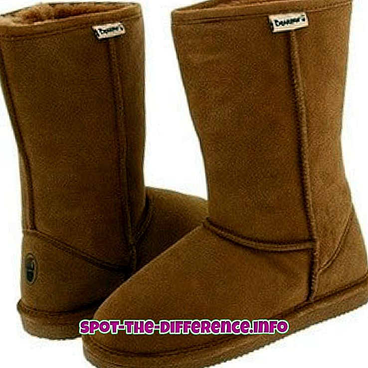 Detail Bear Paw Ugg Boots Nomer 26